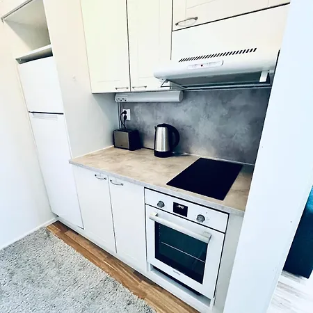 Spacious Two-room With Sauna Apartment Varkaus