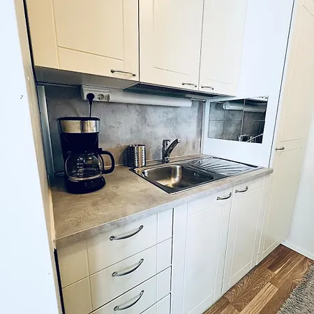 Spacious Two-room With Sauna Varkaus