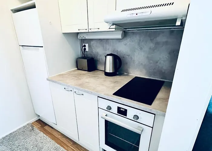 Spacious Two-room With Sauna Apartment Varkaus